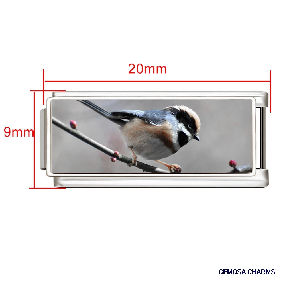 NOVO – Personalized Memories Bracelet