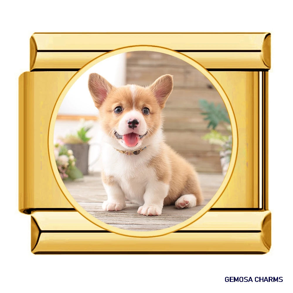 NOVO – Personalized Memories Bracelet